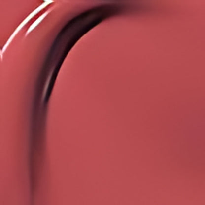 Plenumjoy perfect Twin Lip ¡ª Dual-Ended Liquid Lipstick with Velvet Matte Color and Glossy Shine